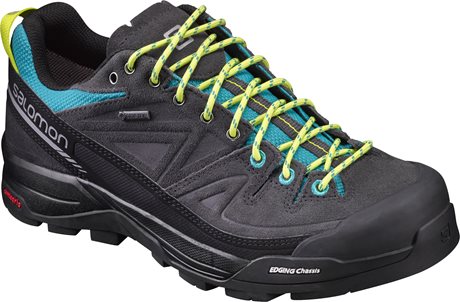 Salomon X Alp LTR GTX W 393271