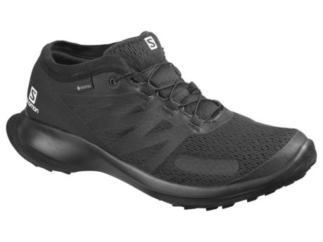 Salomon Sense Flow GTX 409674