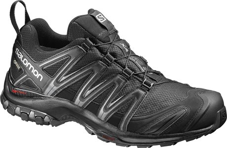 Salomon XA Pro 3D GTX 393322