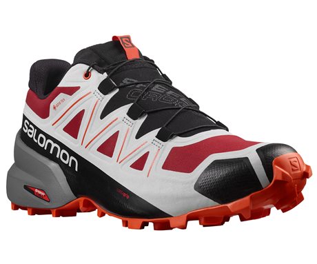 Salomon Speedcross 5 GTX 415637